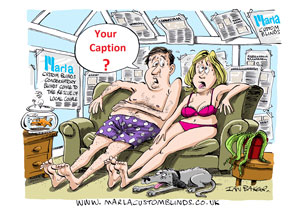 Marla Conservatory Blinds cartoon caption